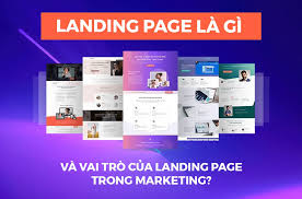 Tại sao landing page giúp tăng chuyển đổi gấp 3 lần so với Website thông thường?